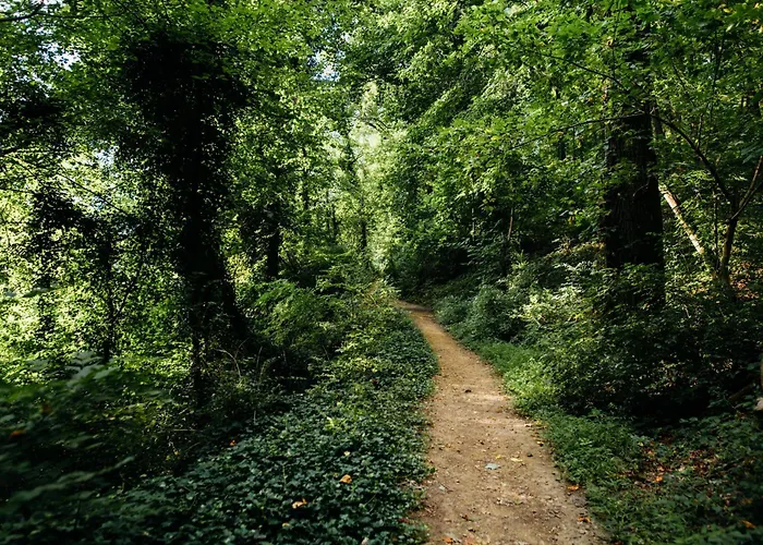 La Salamandre - De Charme, Piscine, Nature, Gr35, Teletravail 게스트하우스 *