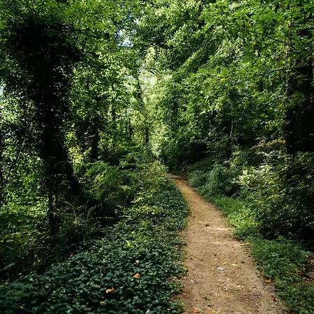 La Salamandre - De Charme, Piscine, Nature, Gr35, Teletravail Gasthuis *